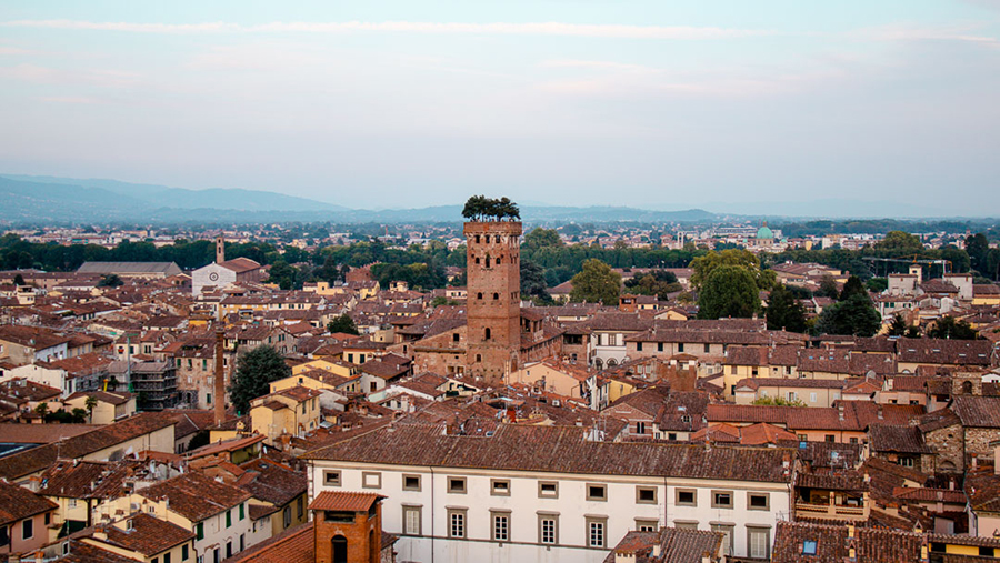 Blick aus der Vogelperspektive auf die Stadt Lucca