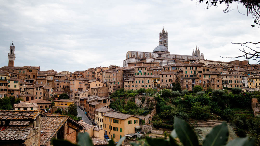 Blick auf die Stadt Siena