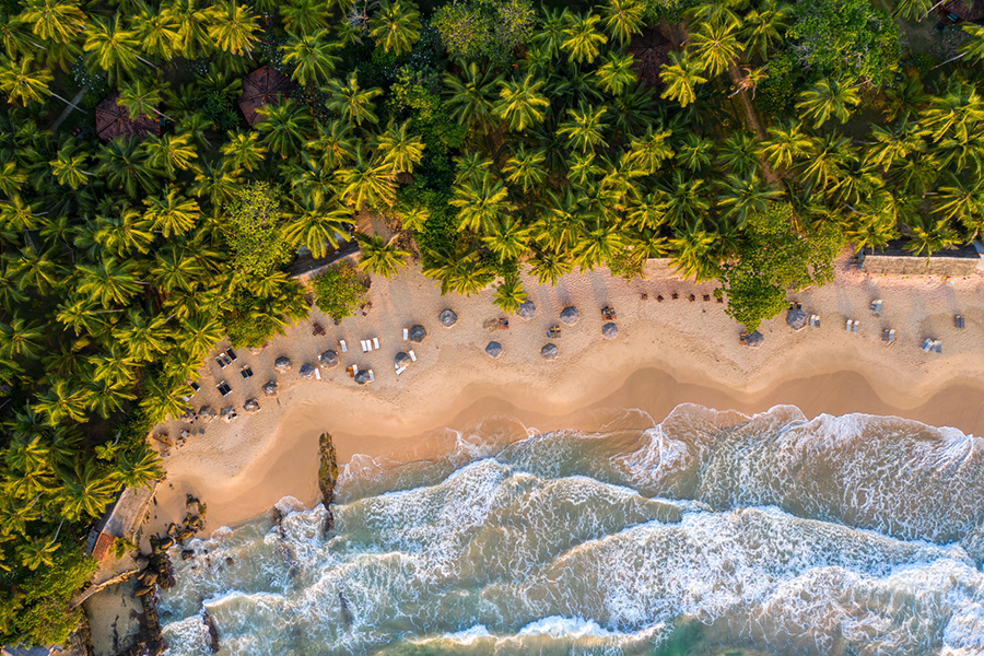 Blick von oben auf den Strand und Wälder Sri Lankas