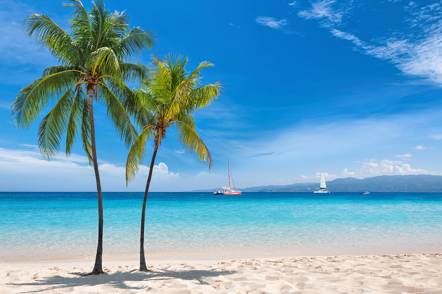 Zwei Palmen am Strand mit Blick aufs Meer Jamaikas
